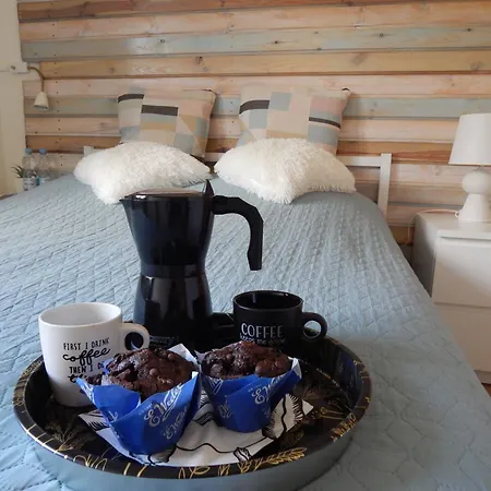 Chata Muszyna منزل للإقامة موشينا