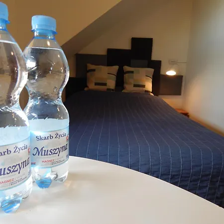 Chata Muszyna Privatunterkunft Muszyna