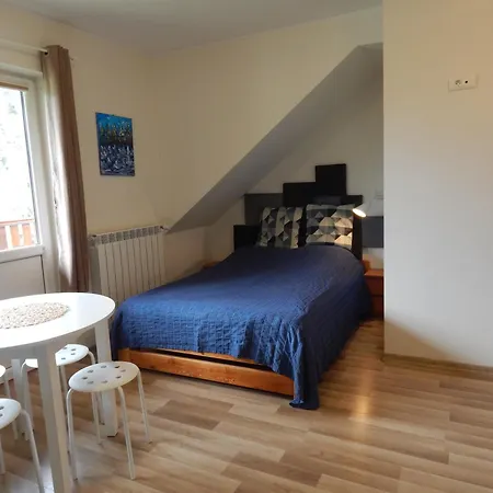 Homestay Chata Muszyna