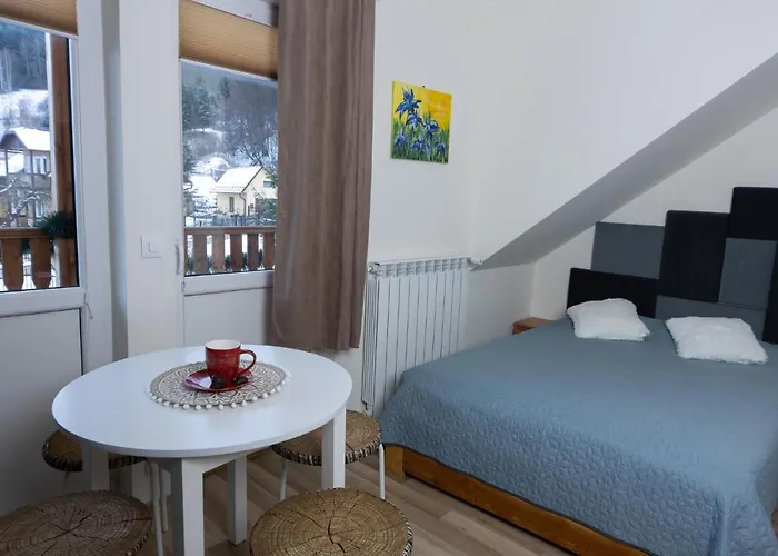 Chata Muszyna בית אירוח