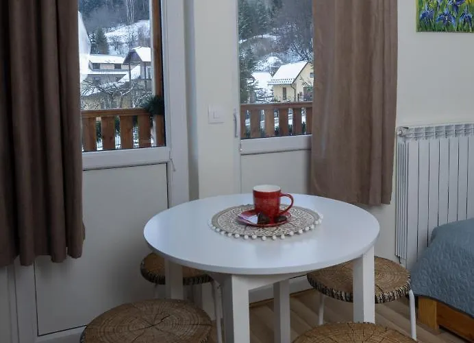 בית אירוח Chata Muszyna מוז'ינה