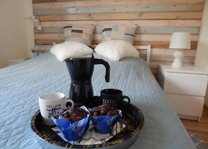 Chata Muszyna 民宿 穆希纳