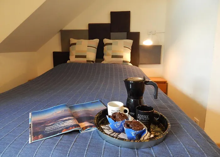 Chata Muszyna מוז'ינה