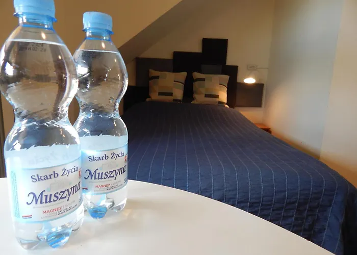 Chata Muszyna בית אירוח מוז'ינה